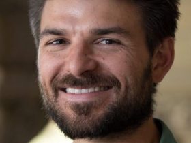 AI co-creator assisting in writing and editing